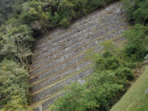 Intipata terracing