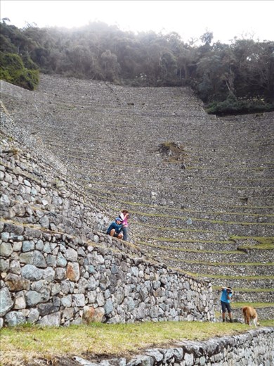 Intipata terracing. Danny, Sarah and Av on the hill taking pics of the resident llamas