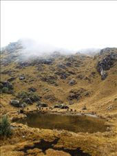 Inkan made reservoir. If you look closely you can see the stone bottom. Used for water and as a mirror to look at the reflection of the stars.: by jorjejuanita, Views[309]