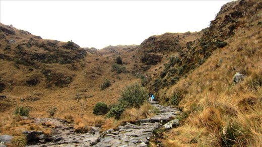 Jorje off in the distance