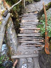 An example of the bridges we had to cross, they are kind of temporary, seem solid enough, but crossed with caution: by jorjejuanita, Views[344]