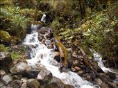 Waterfall crossing the trail.: by jorjejuanita, Views[258]