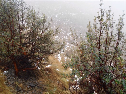 Ice and snow covered ground
