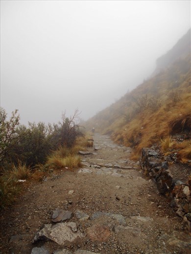 The view back to the white out