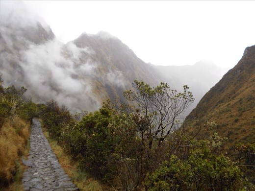 Down the garden path