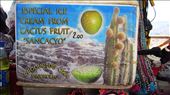 Fruit of the cactus made into yummy ice cream by the locals. Tastes like kiwi fruit.: by jorjejuanita, Views[579]