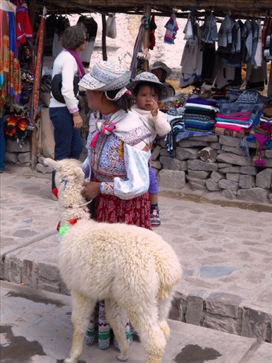 The locals of Maca town.