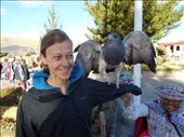 Juanita and falcon.: by jorjejuanita, Views[184]