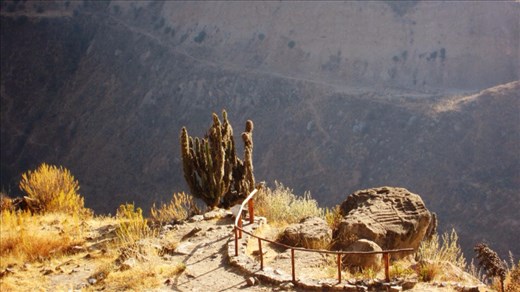 Map etched into the rock by the Inkas.