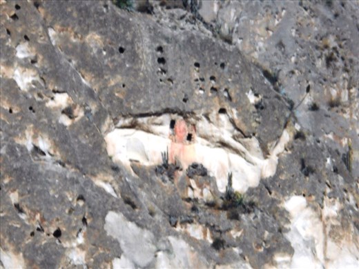 Storehouses built into the cliff edge. (Look for the dark entrance near the red stained rock). Inkas used them to store crops, potatoes, quinoa.