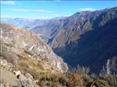 Colca Canyon.: by jorjejuanita, Views[185]