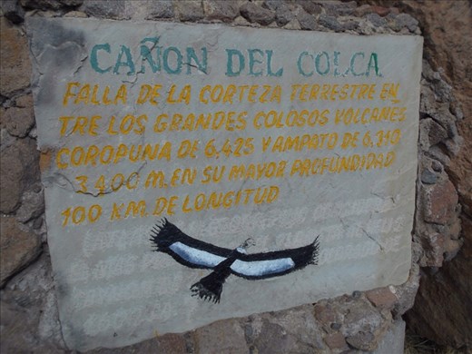 Colca Canyon. Only here for one thing, to see the condors.