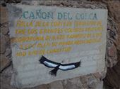 Colca Canyon. Only here for one thing, to see the condors.: by jorjejuanita, Views[143]