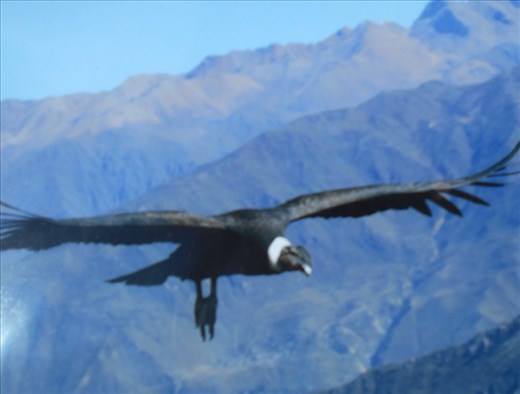 Fantastic photo. Took this one of a postcard that the señorita was selling hehe.