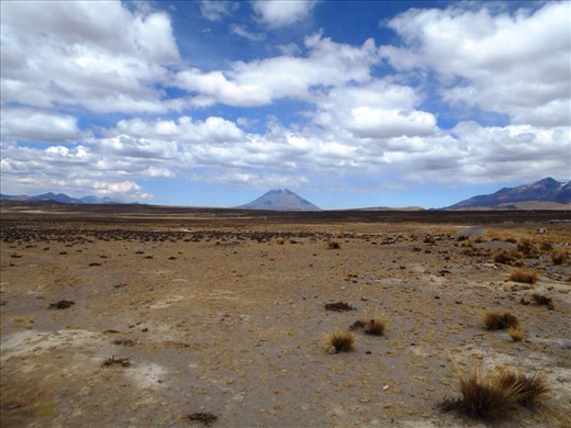 Not much for the llamas to eat, just more volcanoes in the distance.