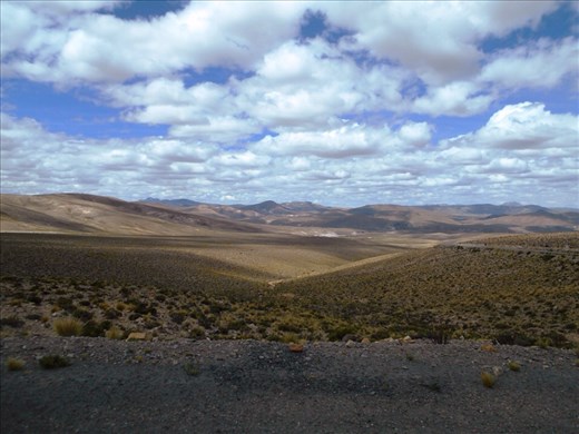 Just taking in the landscape.