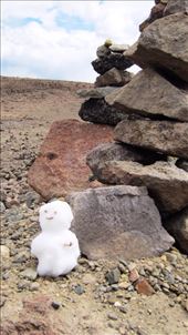 Clear blue skies for the drive from Arequipa to Colca canyo are deceptive, driving through high altitude, so cold outside the bus we made snowmen with the ice laying on the rocks.: by jorjejuanita, Views[233]
