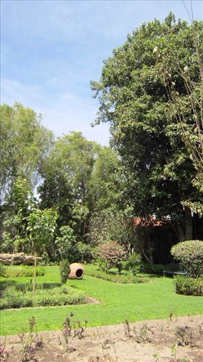 Garden in the monastery. 