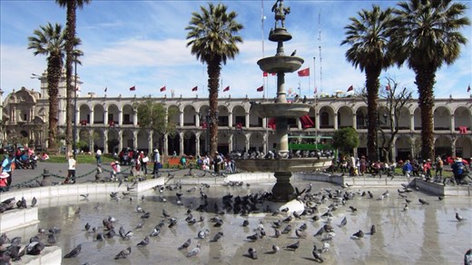 Pigeons galore in Plaza de Armas.