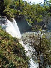 by jorjejuanita, Views[299]