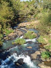 by jorjejuanita, Views[257]