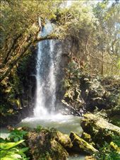 by jorjejuanita, Views[359]