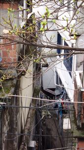 by jorjejuanita, Views[113]