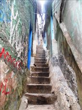 by jorjejuanita, Views[126]