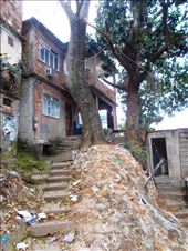 by jorjejuanita, Views[133]