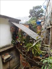 by jorjejuanita, Views[183]