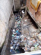 by jorjejuanita, Views[121]