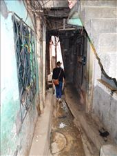 by jorjejuanita, Views[151]