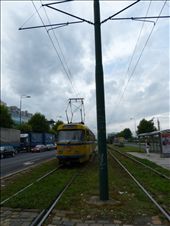 Avenida de los francotiradores en Sarajevo: by jose_chache, Views[377]