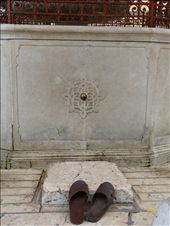 by jose_chache, Views[209]