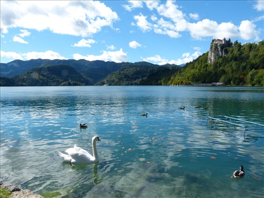 Lago Bled en Eslovenia