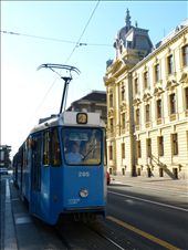 by jose_chache, Views[239]