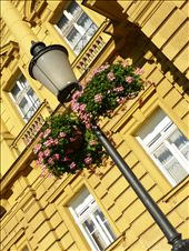 by jose_chache, Views[222]