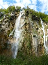 by jose_chache, Views[242]