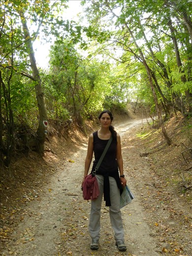 Fruska Gora, parque natural en Serbia. ¡25 Kilómetros de ruta por montaña!