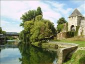 by jose_chache, Views[130]