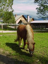 by jose_chache, Views[143]