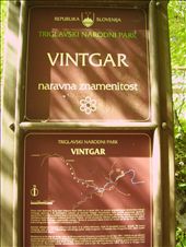 by jose_chache, Views[154]