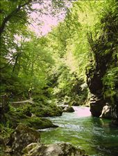 by jose_chache, Views[145]