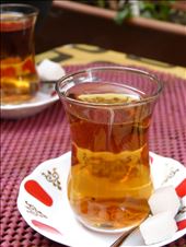 by jose_chache, Views[407]