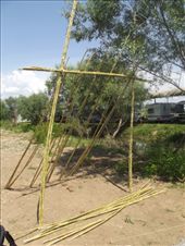 by josephuck, Views[201]