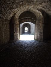 by josephuck, Views[161]