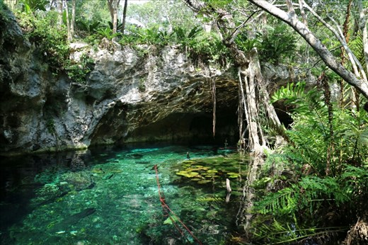 Cenote