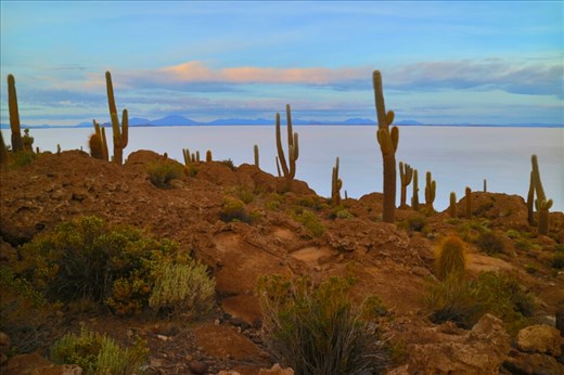 Watching the sunrise from fish island