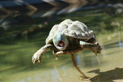 One of the models at the dinosaur park