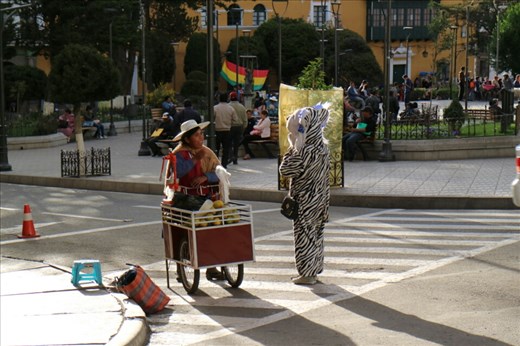 These guys help people cross the street